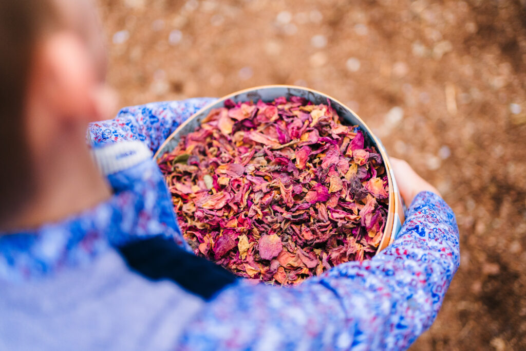 perfect home grown and home dried rose petals for confetti